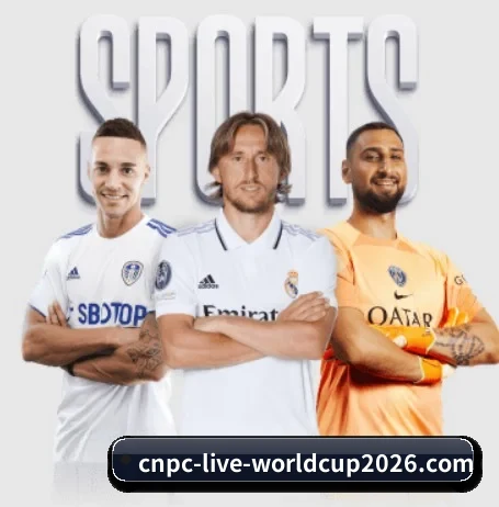 FIFA世界杯的方向